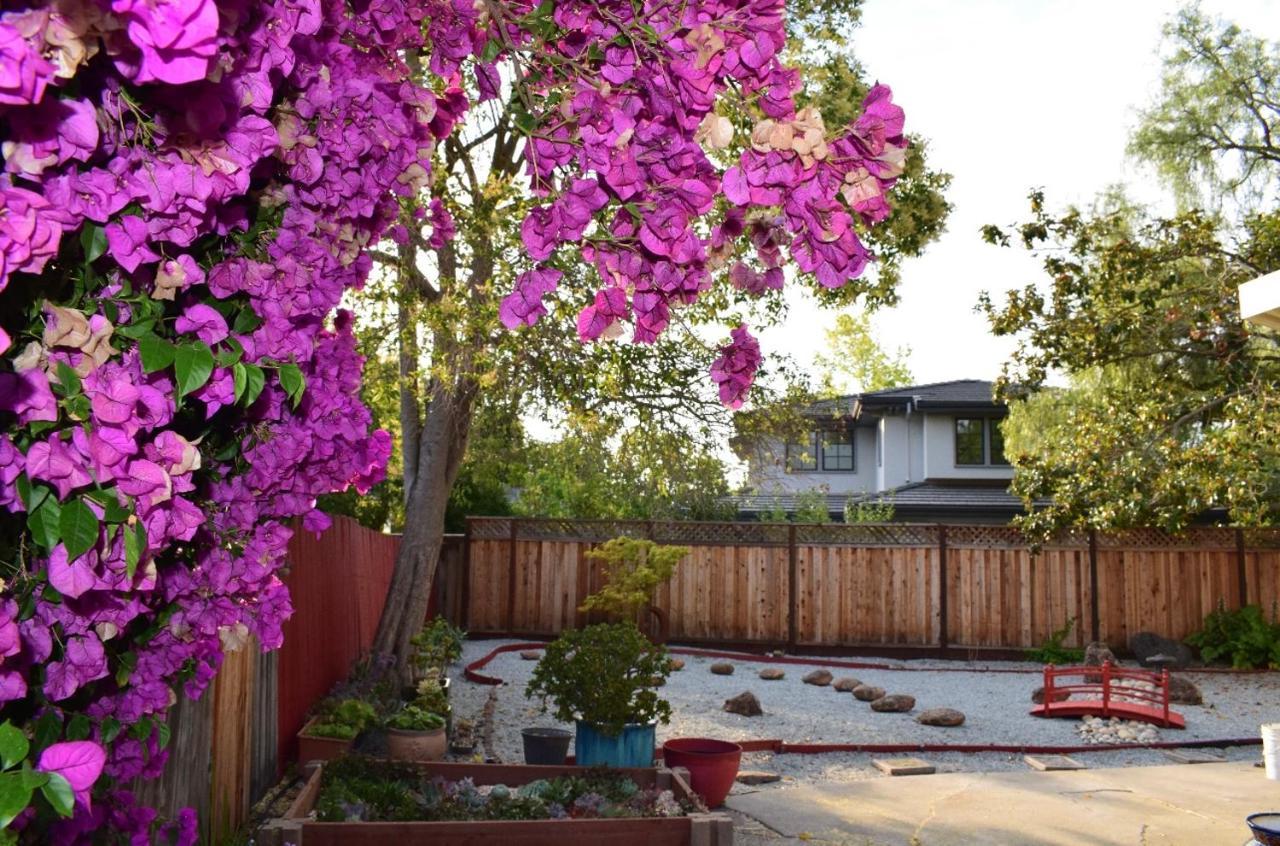 Palo Alto Quiet 1 Bedroom Stanford University 외부 사진